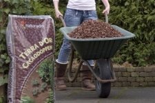 Cacaodoppen tegen onkruid