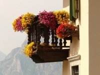 Geen tuin? Zet je balkon vol bloembakken met zomerbloeiers!