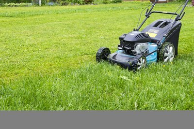 Tot wanneer kunt u het gras maaien in het najaar? (Gazon)