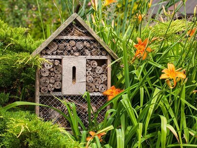 Zo richt je je tuin duurzaam in (Tuinnieuws)