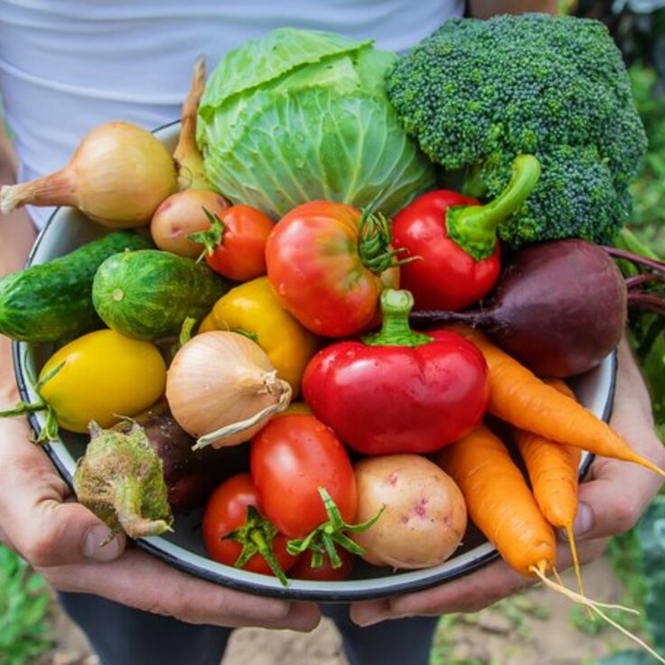 Zelf groenten kweken of toch liever de supermarkt? (Moestuin)