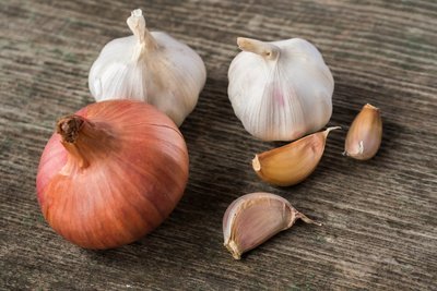 Moestuinieren in de herfst en winter? Het kan! (Moestuin)