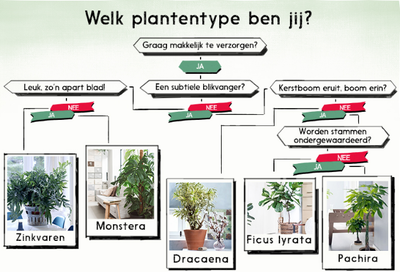 Welk plantentype bent u? (Kamerplanten)