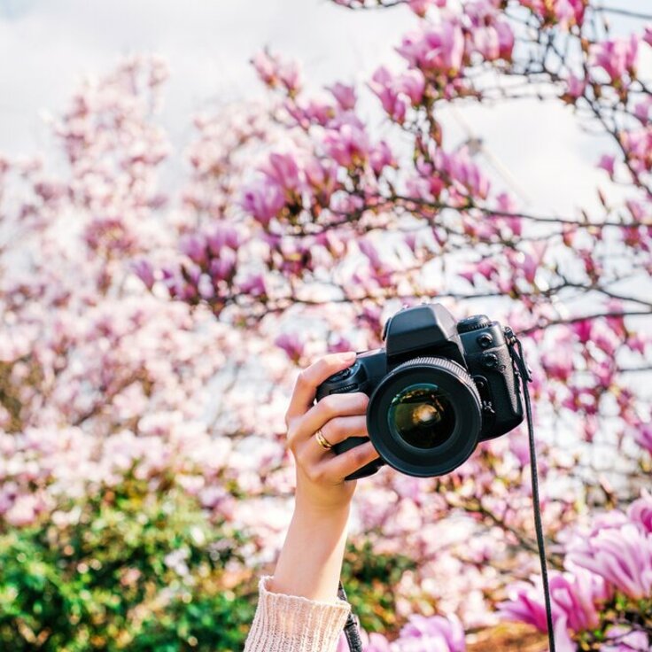 Van zaailing tot snapshot: Hoe je je plantreis kunt fotograferen (Uitgelicht: tuinplanten)