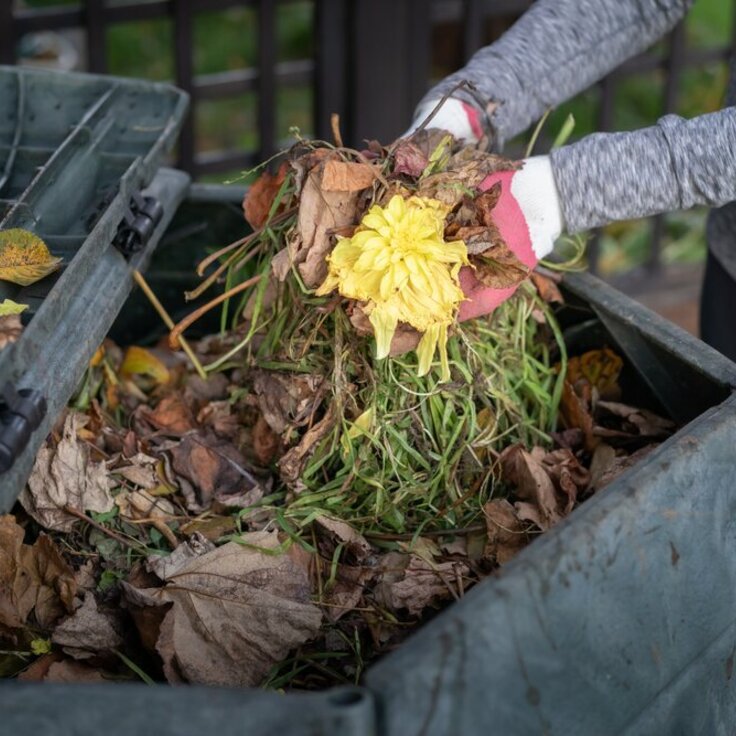 Composteren in de herfst: Tips voor een gezonde en voedzame tuin