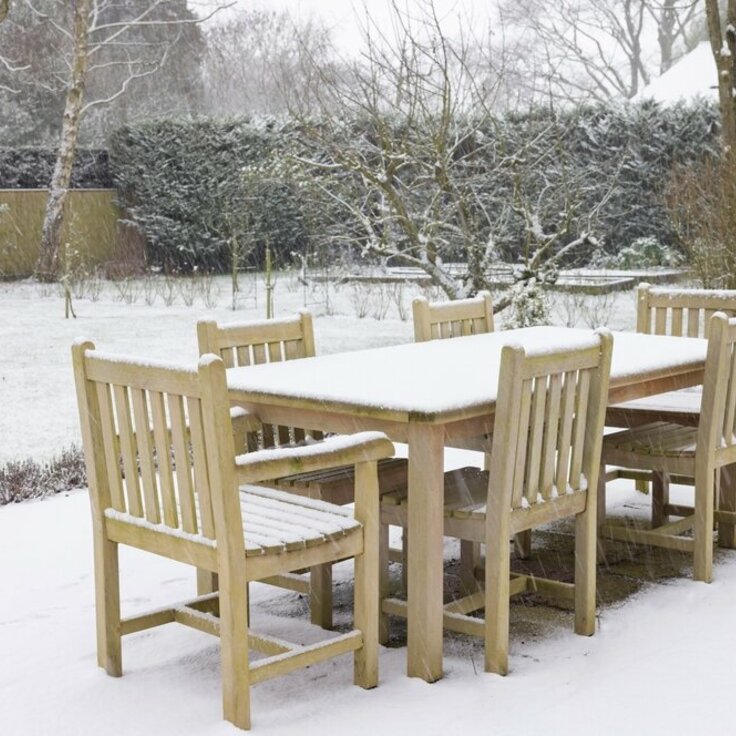 Wat kun je in januari in de tuin doen? (Uitgelicht: tuinplanten)