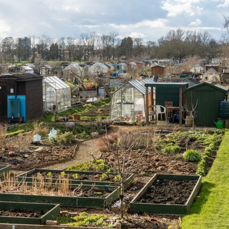 De moestuin in maart