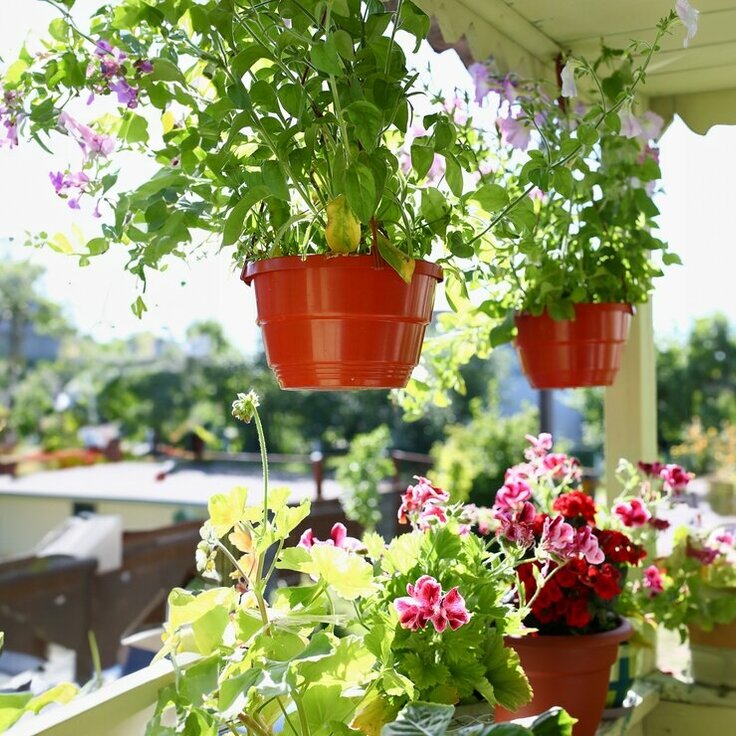 Uw terras, tuin of balkon inrichten