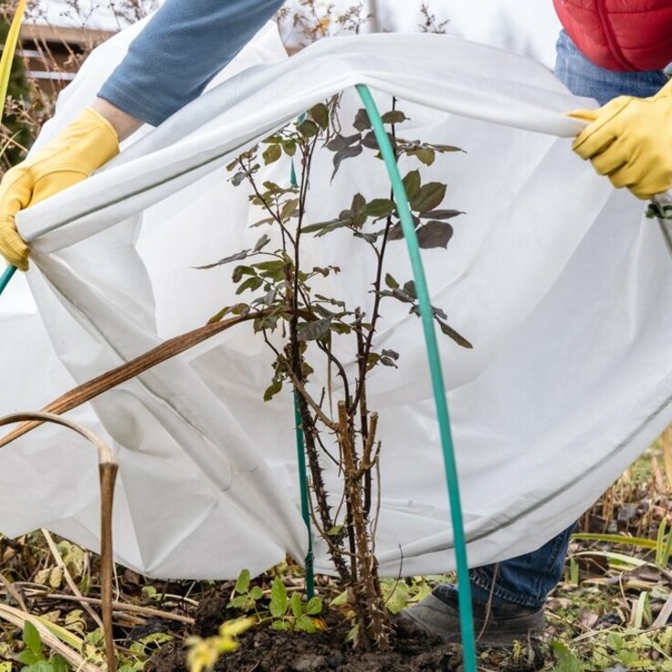 Bereid Je Voor Op Het Tuinseizoen 2025 (Tuinieren)