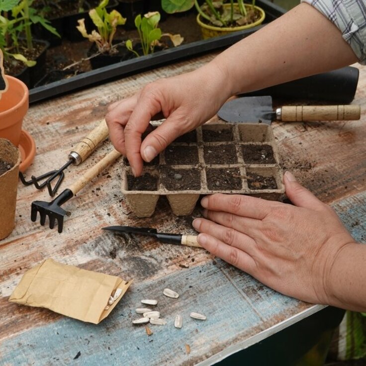 Begin van het tuinseizoen: Wat kun je nu al voorzaaien?