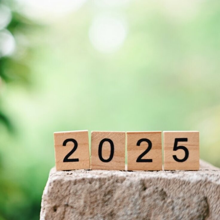 Hoe je de tuintrends van 2025 in jouw tuin kunt toepassen (Tuinieren)