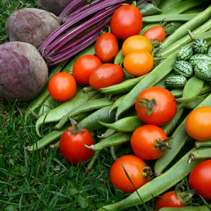 Je zomerse moestuinoogst bewaren doe je zo