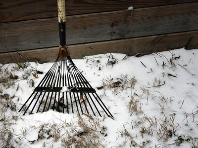 Hoe overleeft de tuin de winter?