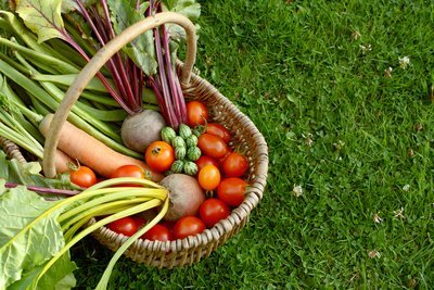 Van gazon naar moestuin (Moestuin)