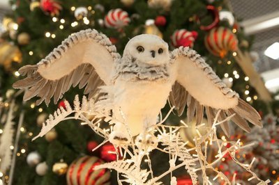 Vijf dieren die het goed doen als kerstdecoratie (Kerst)