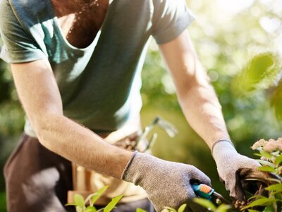 Werk jij ook veilig in de tuin? (Tuinieren)